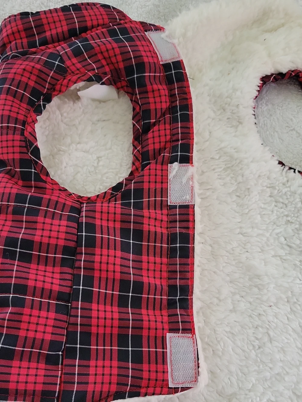 N/A dogs cozy